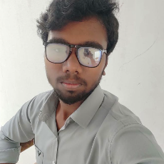 Harish Kumar-Freelancer in Chennai,India