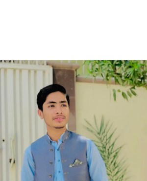 Zia Ul Rehman-Freelancer in Bahawalpur,Pakistan