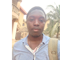 Adeleye David-Freelancer in Lagos,Nigeria