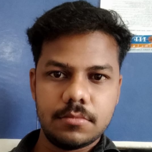 Dipesh Kumar Koshti-Freelancer in Ahmedabad,India