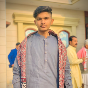 Muhammad Zain-Freelancer in Faisalabad,Pakistan