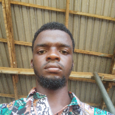 Ezenwafor Celestine-Freelancer in Port Harcourt,Nigeria