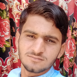 Umair Ali-Freelancer in Moro Sindh,Pakistan
