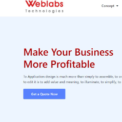 Weblabs Technologies-Freelancer in Hyderabad,India