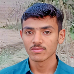 Muhammad Zeeshan-Freelancer in Hyderabad,Pakistan
