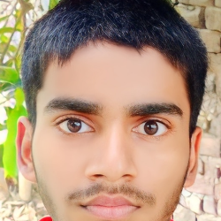 Nitish Kumar-Freelancer in Lucknow,India