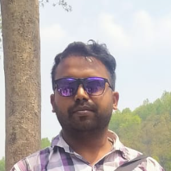 Subhasis Dey-Freelancer in Kolkata,India