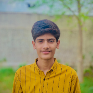 Umair Ahmed-Freelancer in Sialkot,Pakistan
