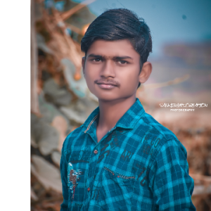 Gp Anand-Freelancer in Niadain,India