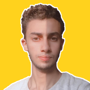 Ahmed Elbiaa-Freelancer in Al Mansurah,Egypt