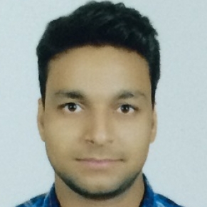Rajeev Pathak-Freelancer in Bangalore,India