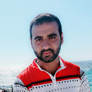Mohamed Hussein-Freelancer in ,Egypt