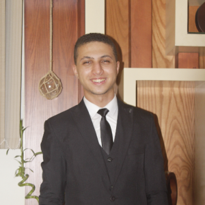 Ahmed Saleh-Freelancer in Zagazig,Egypt