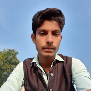 Shahrukh Khan-Freelancer in Chandigarh,India