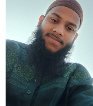 Mohammed Palash-Freelancer in Burichang,Bangladesh