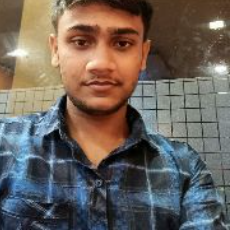 Partha Bera-Freelancer in Kolkata,India