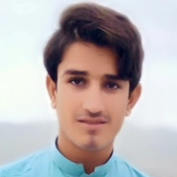 Liaqat Baloch-Freelancer in nushki,Pakistan