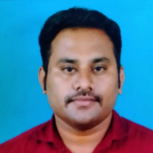 Dinesh Hari-Freelancer in Chennai,India