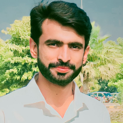 Moazzam Ali-Freelancer in Pakpattan,Pakistan