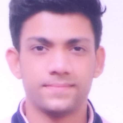 Abhishek Kaushik-Freelancer in Delhi,India