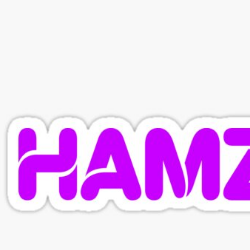 Hamza Sohail-Freelancer in GUJRAT,Pakistan