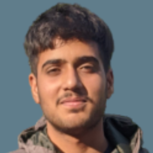 Dharamveer Singh-Freelancer in Ludhiana,India