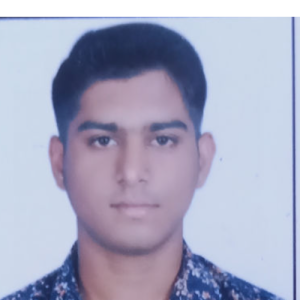 chandraveer singh chauhan-Freelancer in Bhilwara,India