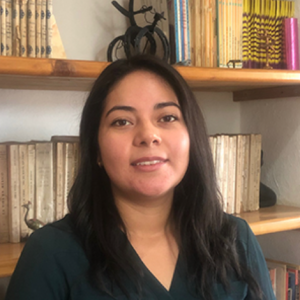 Pamela Ramírez Arroyo-Freelancer in Mexico City,Mexico