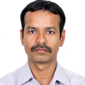 Raghunath Tripathi-Freelancer in Noida,India