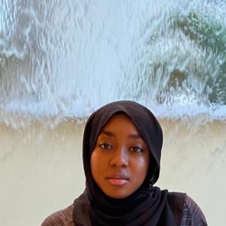 Firdausy Ibrahim-Freelancer in Abuja,Nigeria