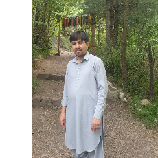 Syed Arif-Freelancer in Islamabad,Pakistan