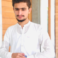 Muhammad Salayh Hayat-Freelancer in Faisalabad,Pakistan
