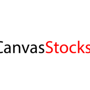 Canvas Stocks-Freelancer in Ahmedabad,India