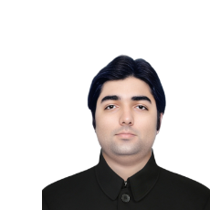 Sajjad Hussain-Freelancer in Hyderabad Pakistan,Pakistan