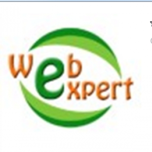 Webexpert Infotech-Freelancer in Ahmedabad,India