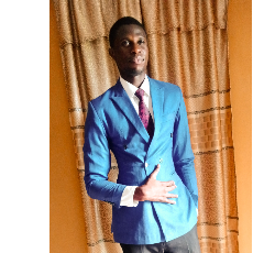Emmanuel Oloyede-Freelancer in Ibadan,Nigeria