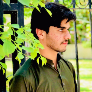 Abdul Rafay-Freelancer in Multan,Pakistan
