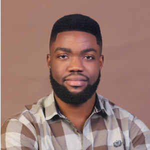 Jedidiah Olugbenga-Freelancer in Abuja,Nigeria