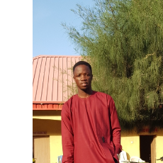 Goodness Alassan-Freelancer in Abuja,Nigeria