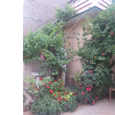 Firaqat Javed-Freelancer in Nowshera,Pakistan