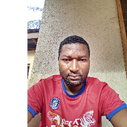 Emmanuel Deke-Freelancer in Enugu,Nigeria