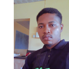 Emmanuel Ahonsi-Freelancer in Abuja,Nigeria