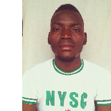 Salvation Nogindick-Freelancer in Jalingo,Nigeria