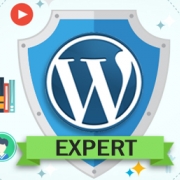 Wordpress Expert-Freelancer in Jaipur,India