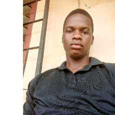 Emmanuel Dominic-Freelancer in Abakaliki,Nigeria