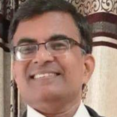 Manoj Joshi-Freelancer in Nagpur,India