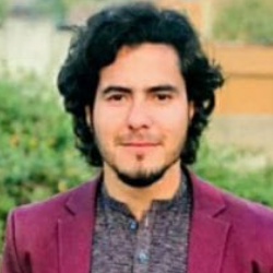 Mubashir Luqman-Freelancer in Peshawar,Pakistan