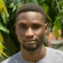 Dominion Oluwanuga-Freelancer in Ikeja,Nigeria