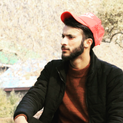 Mohammad Rafiq-Freelancer in Srinagar,India