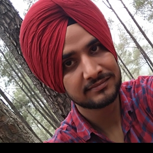 Meet Singh-Freelancer in Ludhiana,India